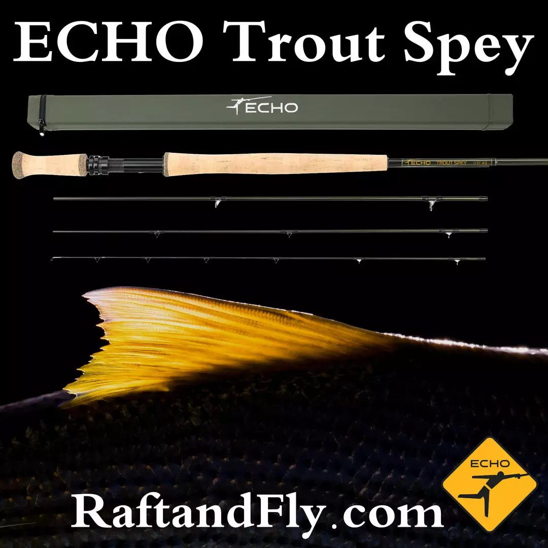 ECHO Trout Spey 2wt 11'0" 3 ECHO Trout Spey 2wt 11'0"