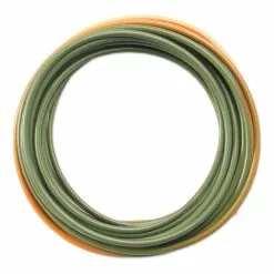 Orvis Mission Skagit Head 310 Gr.