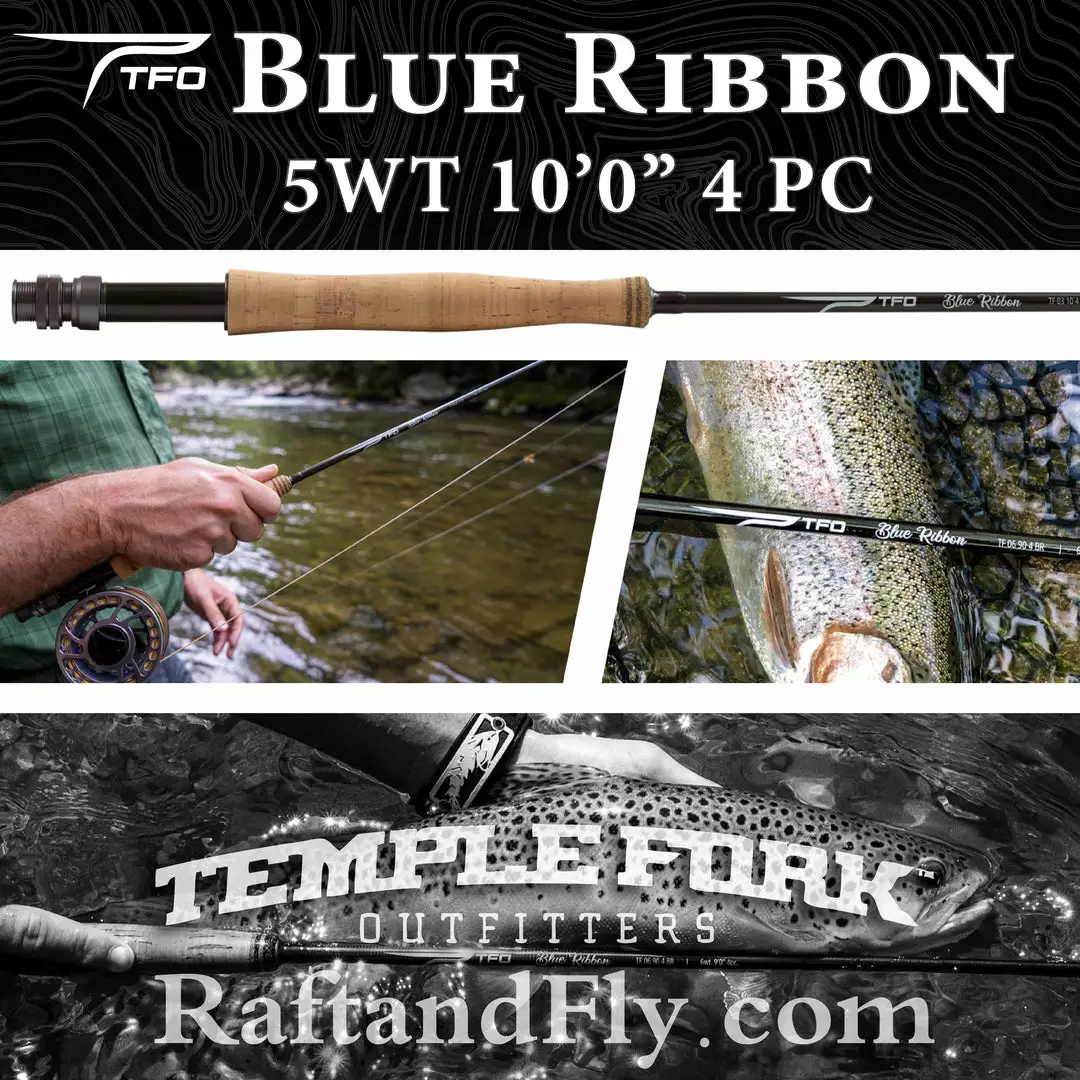 TFO Blue Ribbon 5wt 10'0" Temple Fork Outfitters 3 TFO Blue Ribbon 5wt 10'0" Temple Fork Outfitters