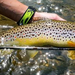 Temple Fork Outfitters TFO Blue Ribbon 5wt 9'0" 7 Temple Fork Outfitters TFO Blue Ribbon 5wt 9'0