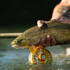 Redington Rise III Reel 7/8wt | Rose Gold 11 Redington Rise III Reel 7/8wt | Rose Gold