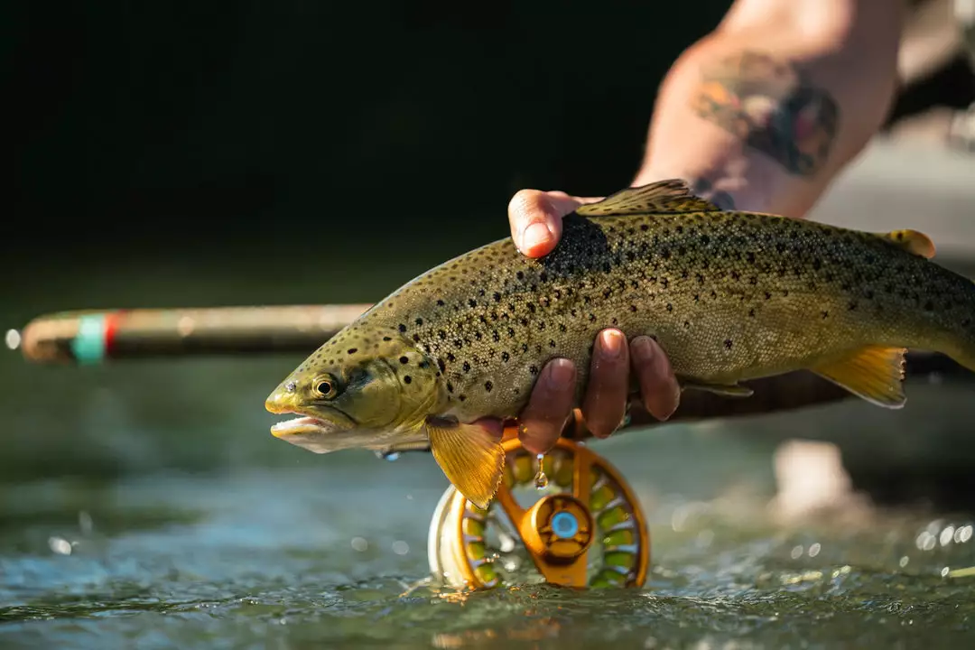 Redington Rise III Reel 5-6wt | Rose Gold 6 Redington Rise III Reel 5-6wt | Rose Gold